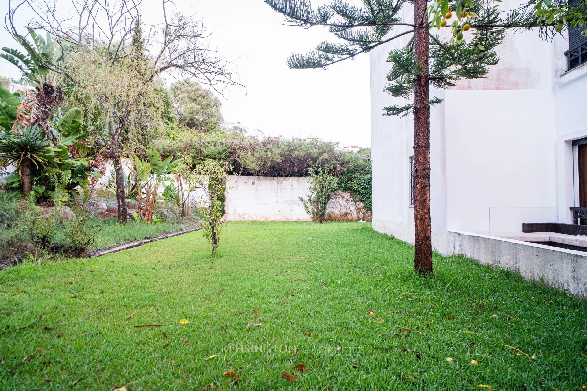 Apartment Tulip in Tanger, Morocco