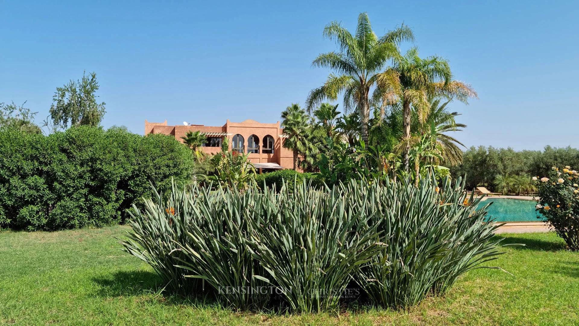 Domaine DB in Marrakech, Morocco