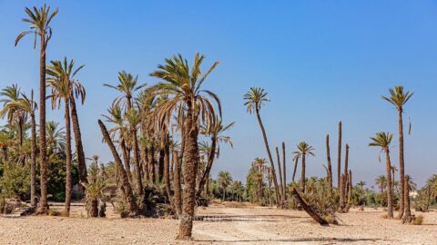 Land Damascus in Marrakech, Morocco