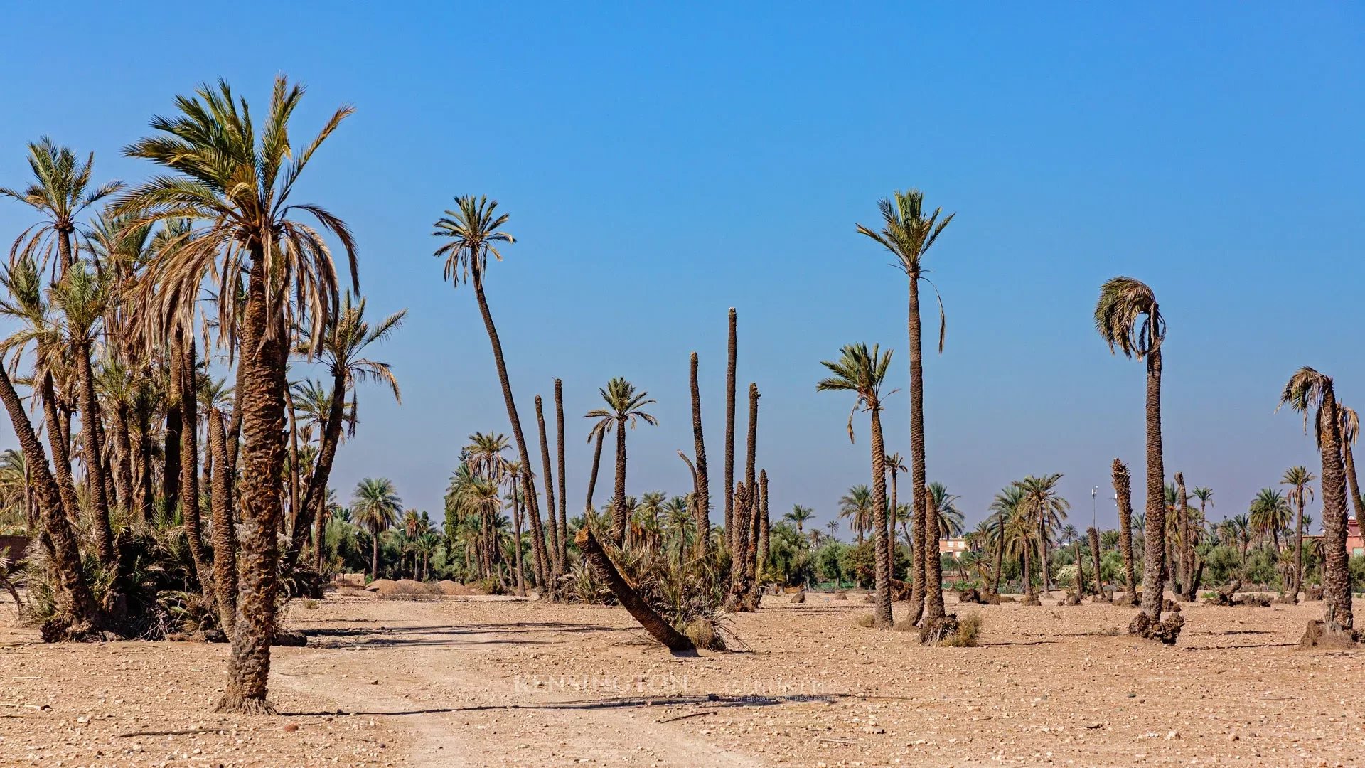 Land Damascus in Marrakech, Morocco