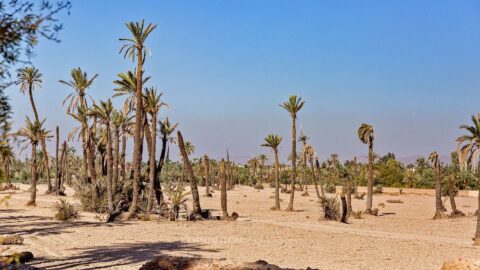 Land Damascus in Marrakech, Morocco