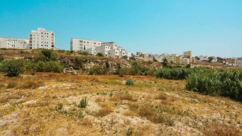 Land Fiat in Tetouan, Morocco