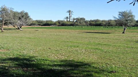 Land For Sale 5 Km From Al Maaden in Marrakech, Morocco