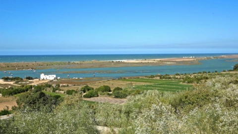 Land Isli in Oualidia, Morocco
