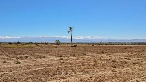 Land Wood in Marrakech, Morocco