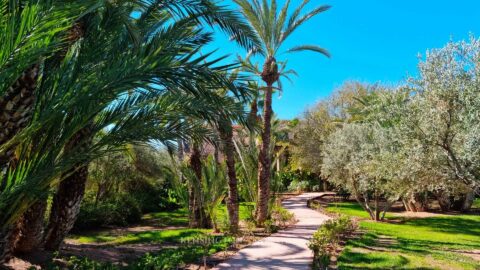 Palais Tanit in Marrakech, Morocco