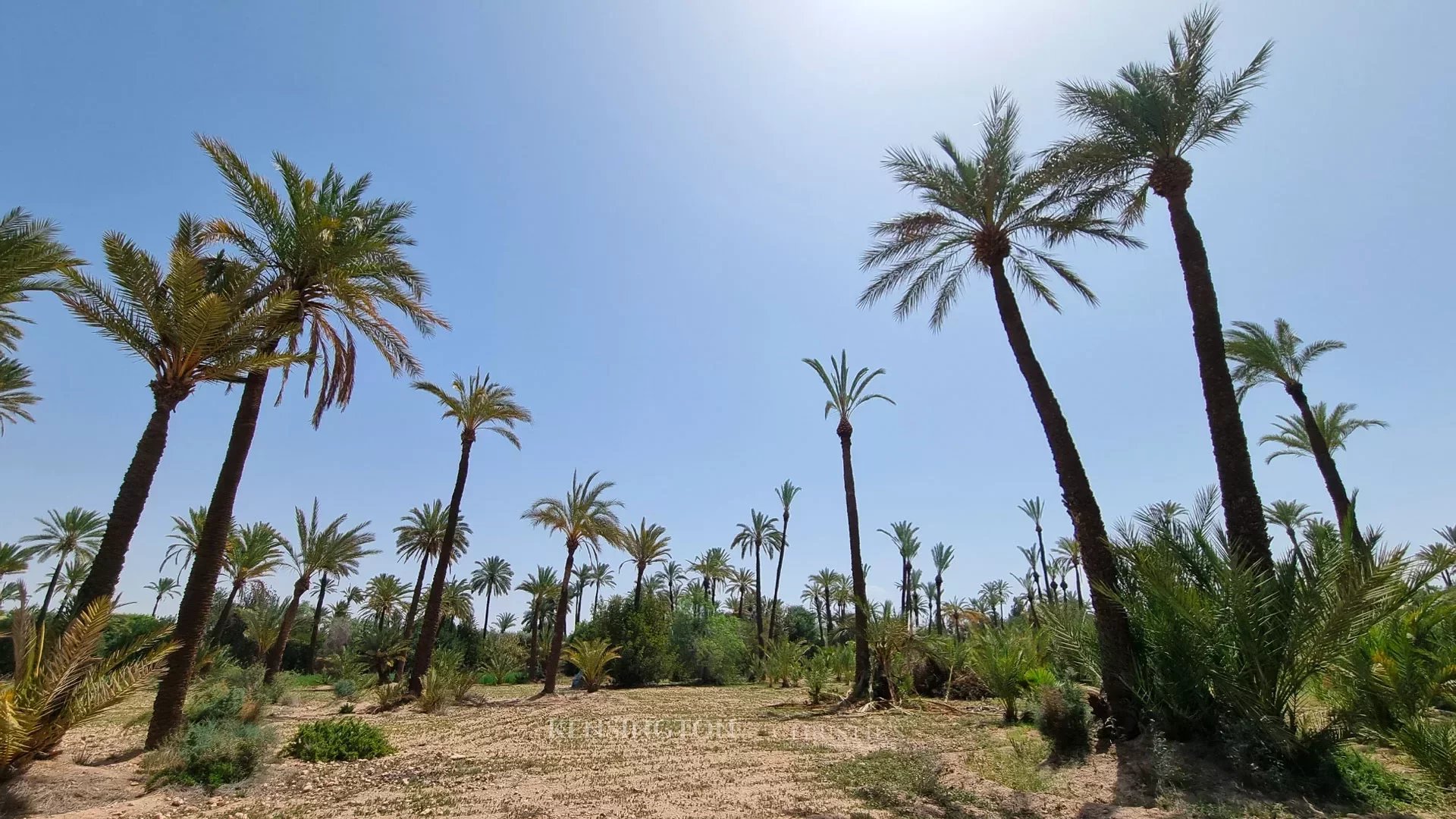 Palmeraie Terrain in Marrakech, Morocco