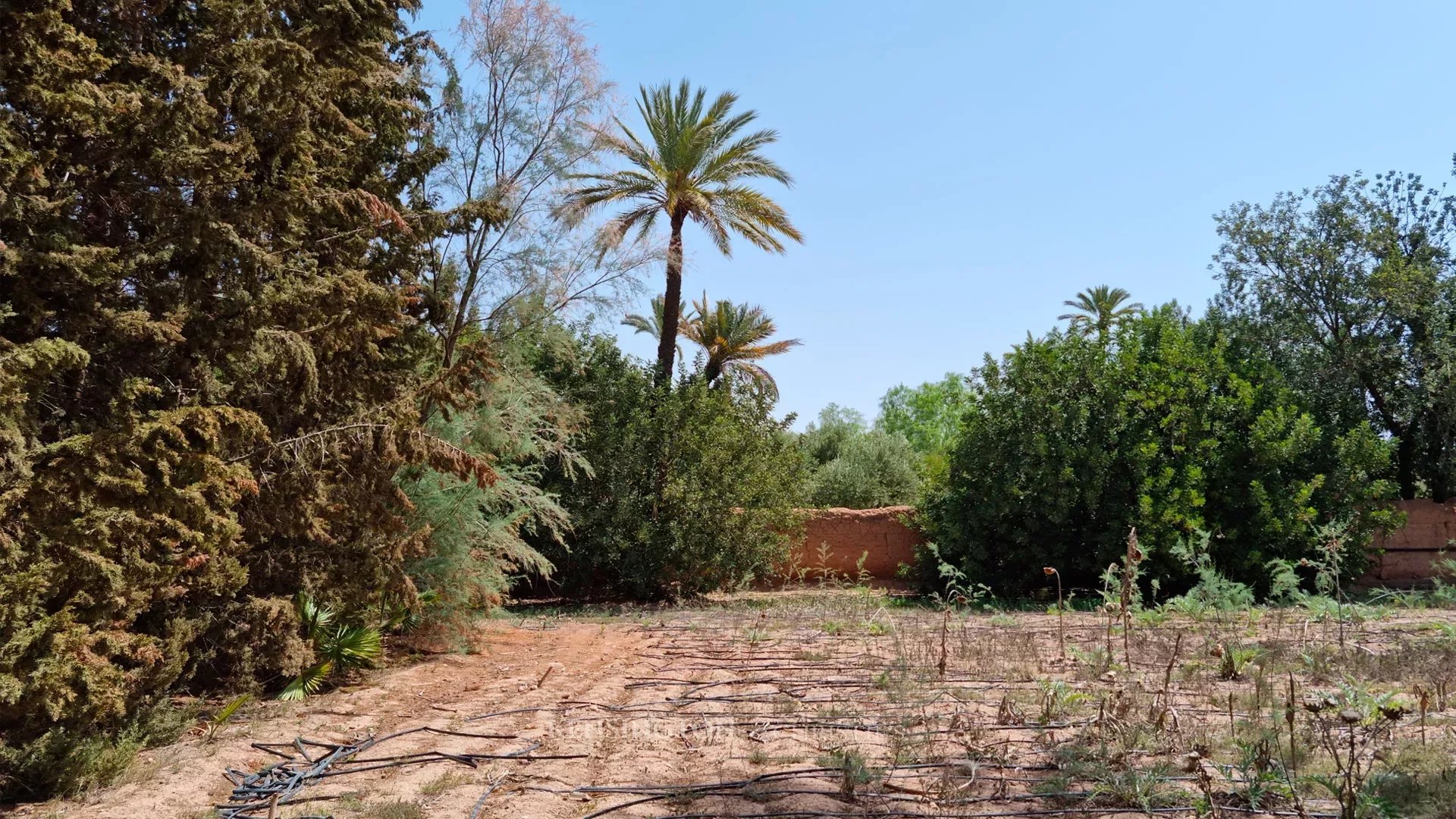 Palmeraie Terrain in Marrakech, Morocco