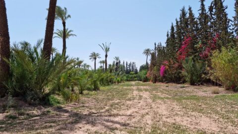 Palmeraie Terrain in Marrakech, Morocco