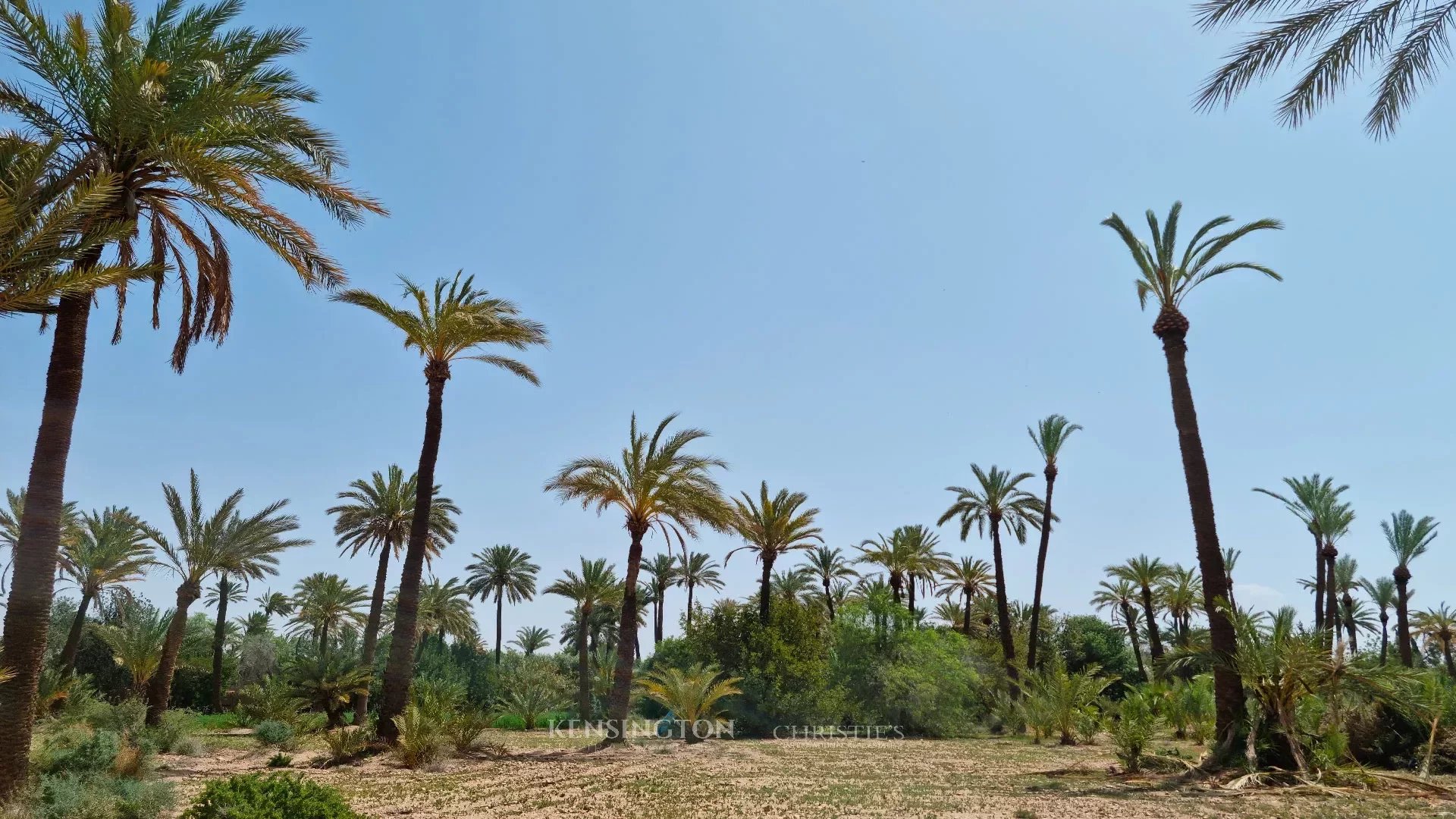 Palmeraie Terrain in Marrakech, Morocco