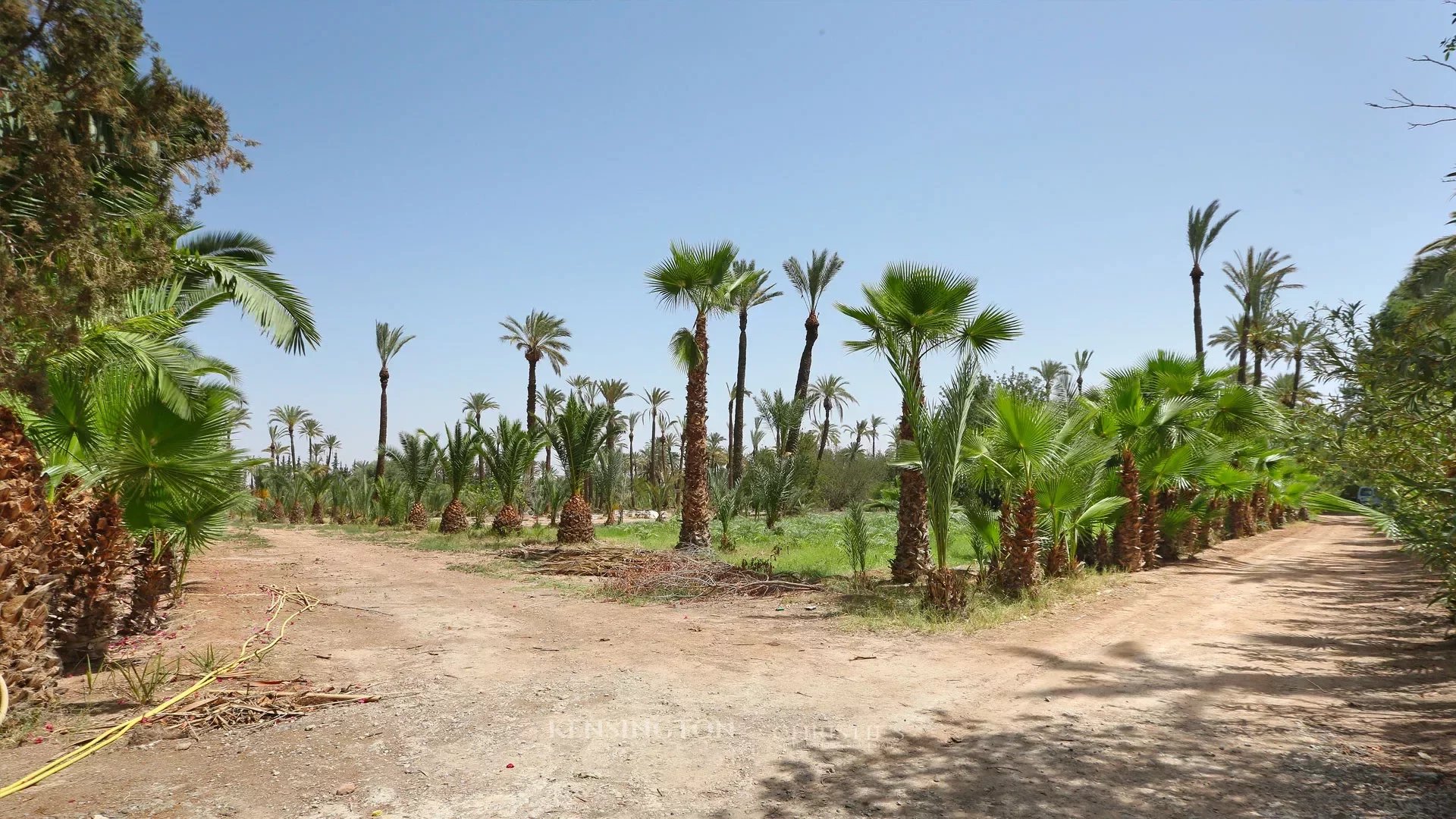 Palmeraie Terrain in Marrakech, Morocco