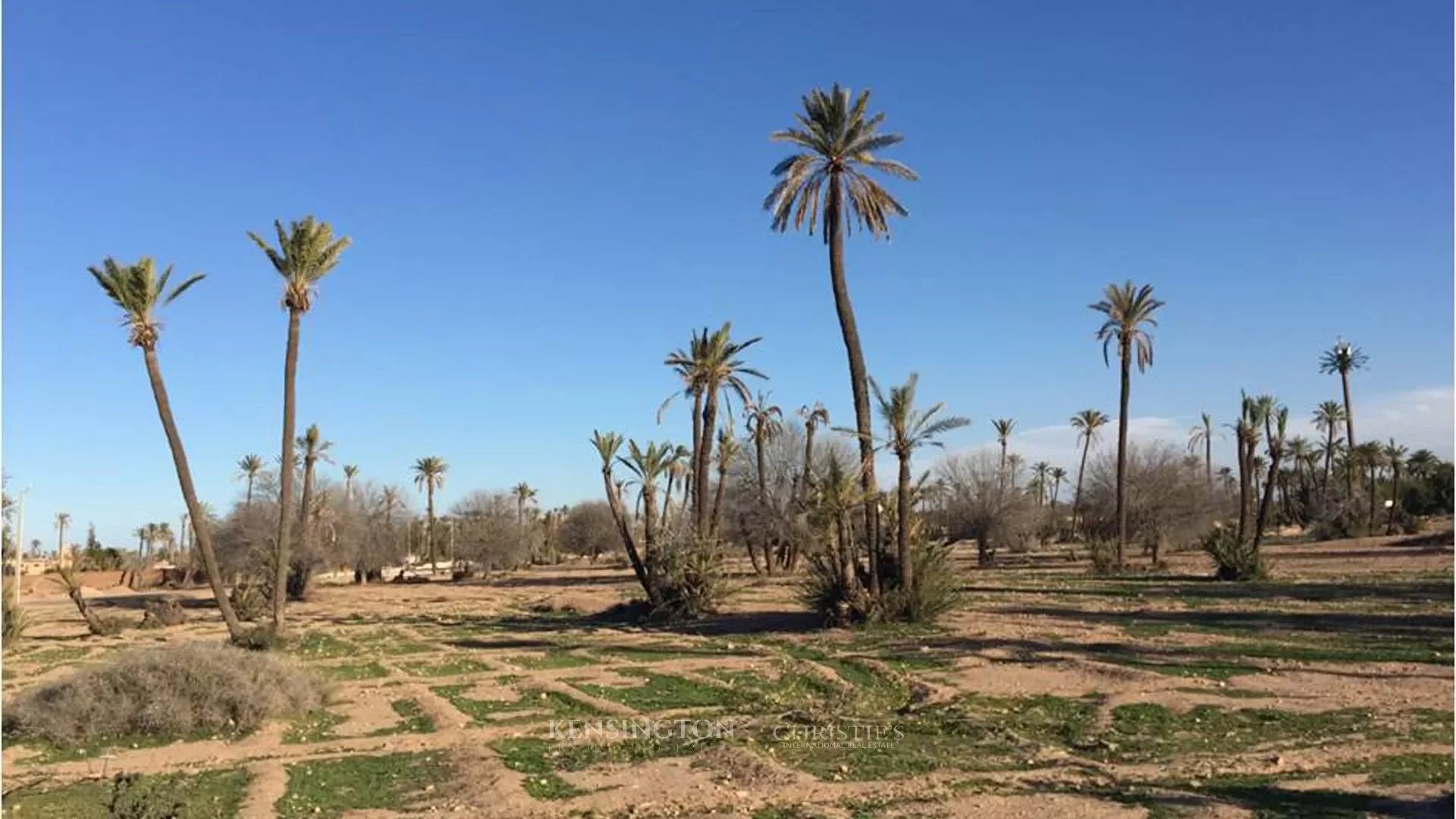 Palmeraire Building Land in Marrakech, Morocco