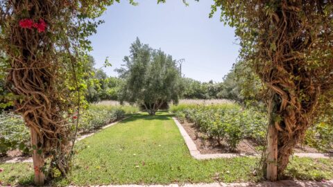 Somptuous Villa Cottage On The Ourika Road OFM in Marrakech, Morocco