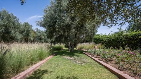 Somptuous Villa Cottage On The Ourika Road OFM in Marrakech, Morocco