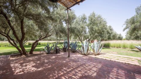 Somptuous Villa Cottage On The Ourika Road OFM in Marrakech, Morocco