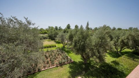 Somptuous Villa Cottage On The Ourika Road OFM in Marrakech, Morocco