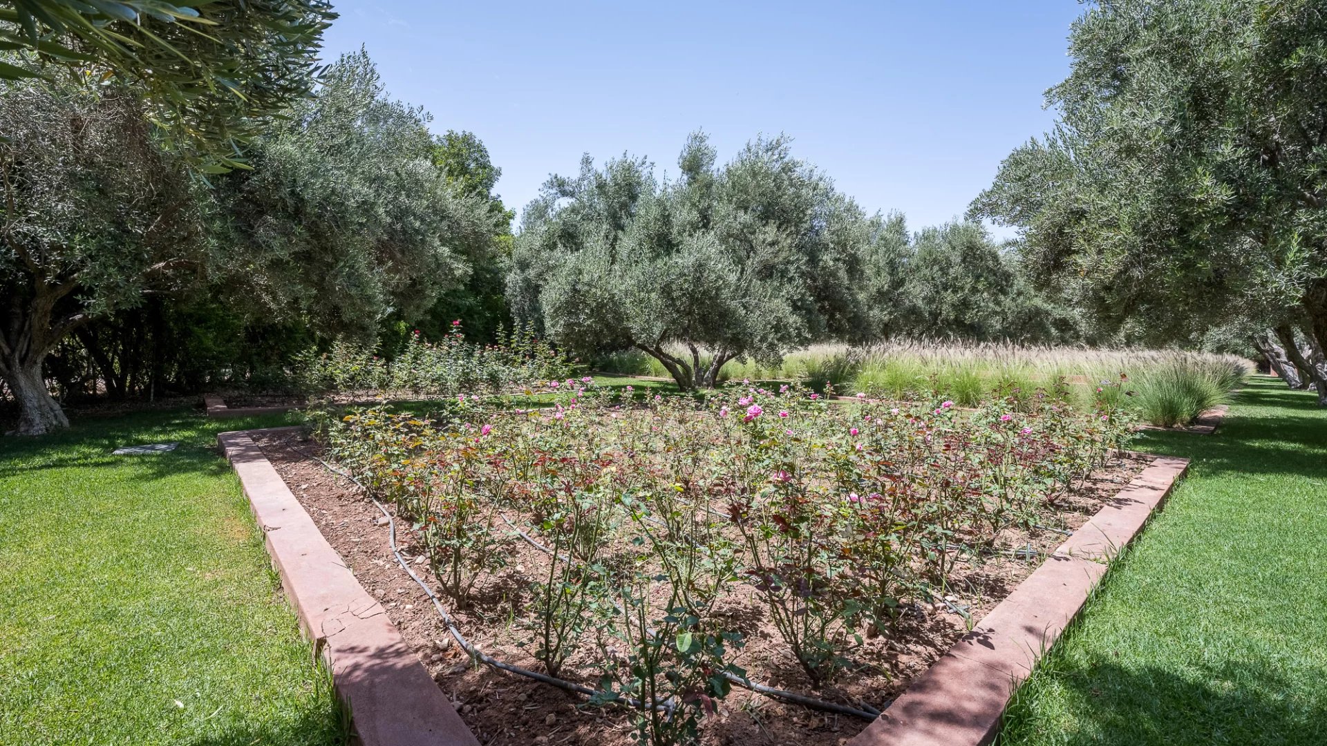 Somptuous Villa Cottage On The Ourika Road OFM in Marrakech, Morocco