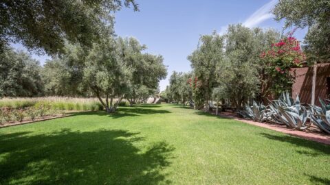 Somptuous Villa Cottage On The Ourika Road OFM in Marrakech, Morocco