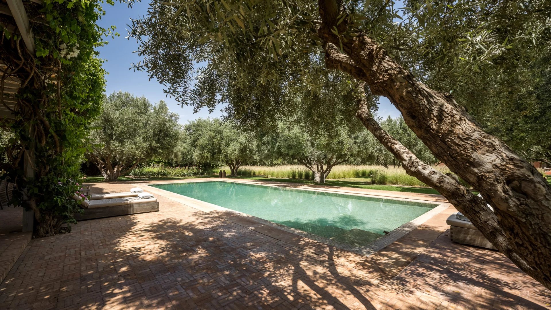 Somptuous Villa Cottage On The Ourika Road OFM in Marrakech, Morocco