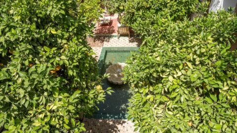 Somptuous Villa Cottage On The Ourika Road OFM in Marrakech, Morocco