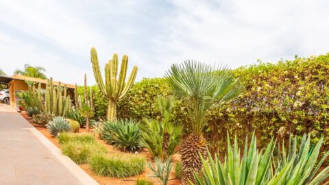 Villa Alyah in Marrakech, Morocco