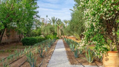 Villa Asmyn in Marrakech, Morocco