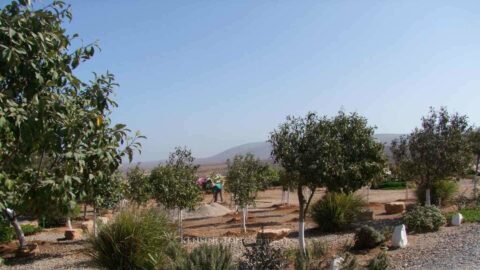 Villa Atay in Mirleft, Morocco