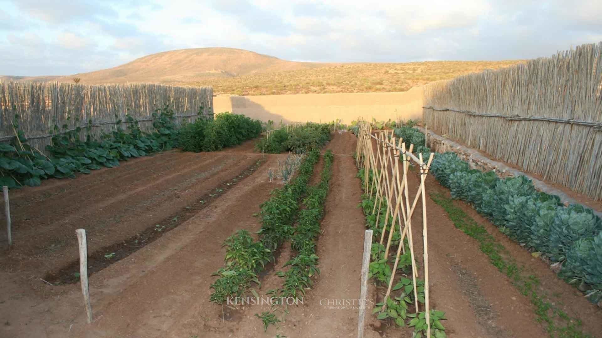 Villa Atay in Mirleft, Morocco