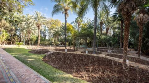 Villa Bennios in Marrakech, Morocco