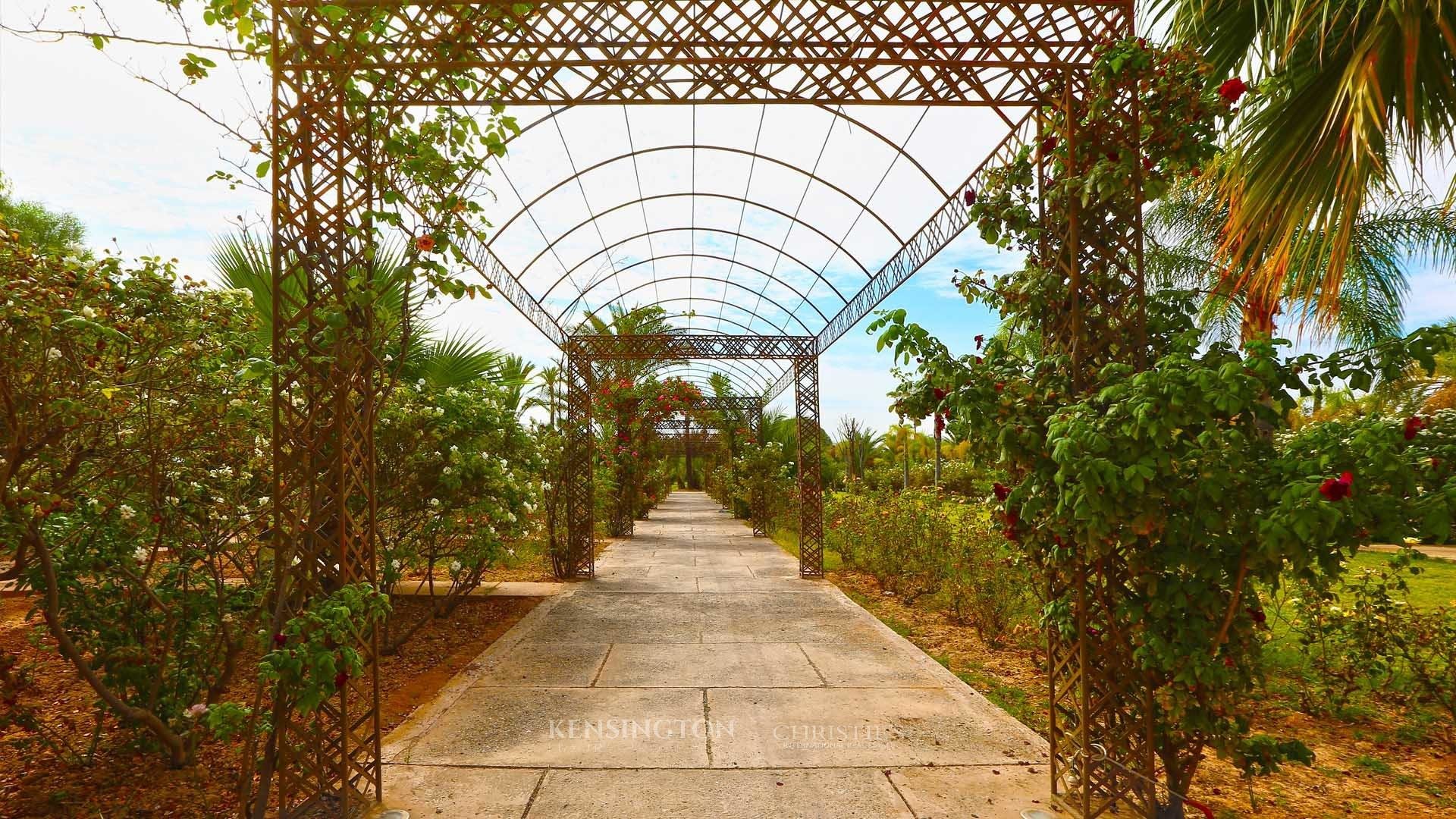 Villa Cedra in Marrakech, Morocco