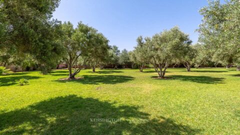 Villa Draconis in Marrakech, Morocco