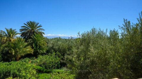 Villa Evios in Marrakech, Morocco