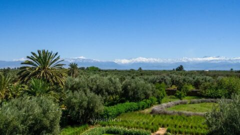 Villa Evios in Marrakech, Morocco