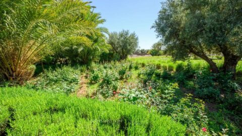 Villa Evios in Marrakech, Morocco