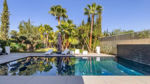 Villa Garden in Marrakech, Morocco