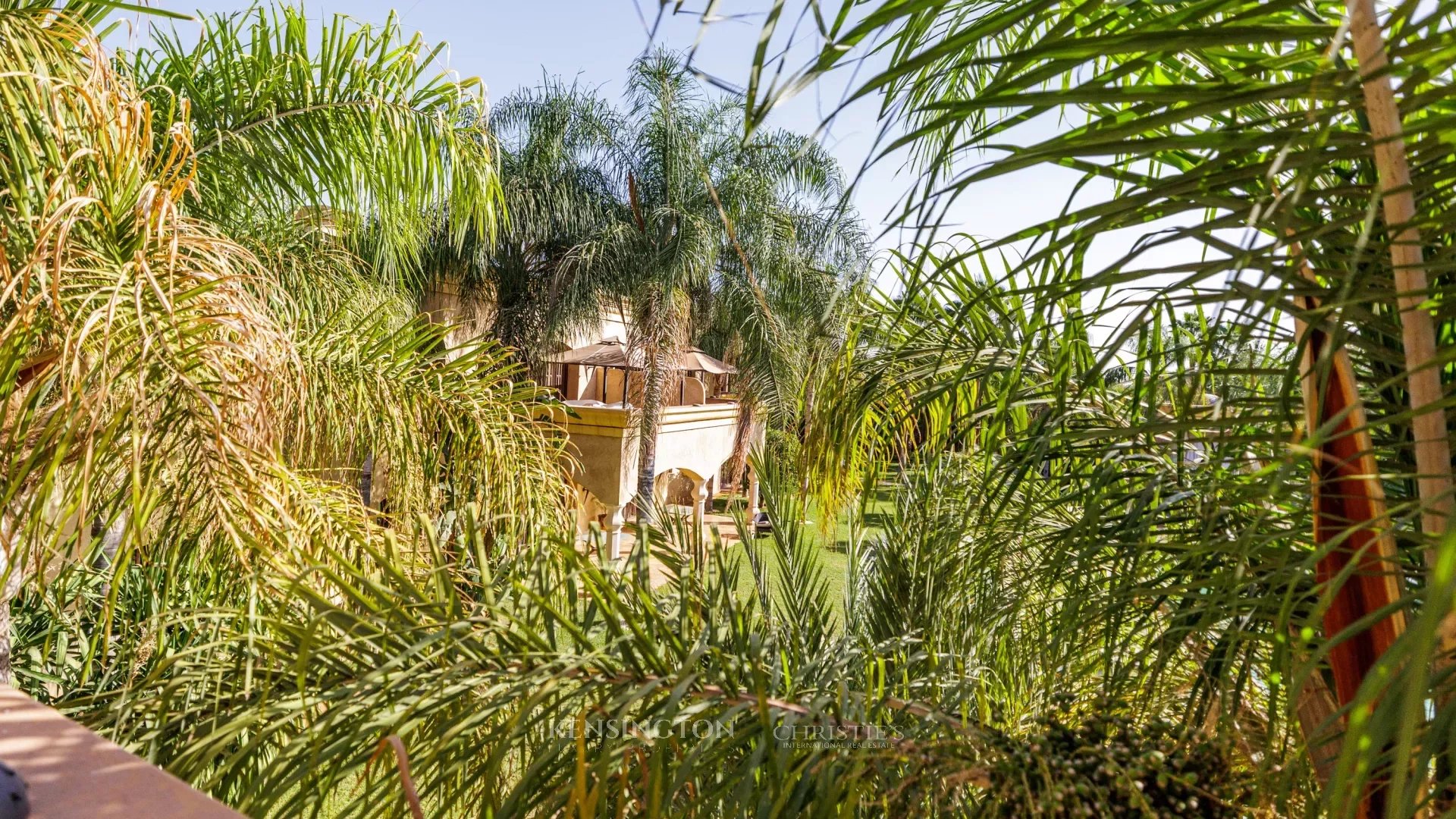 Villa Lions in Marrakech, Morocco