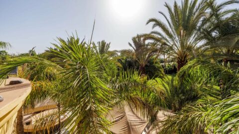 Villa Lions in Marrakech, Morocco