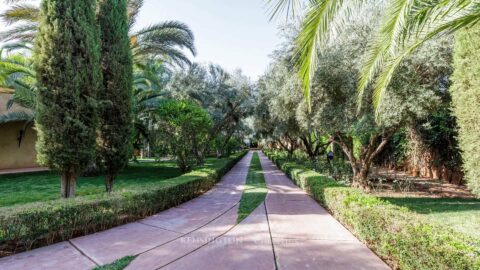 Villa Lions in Marrakech, Morocco