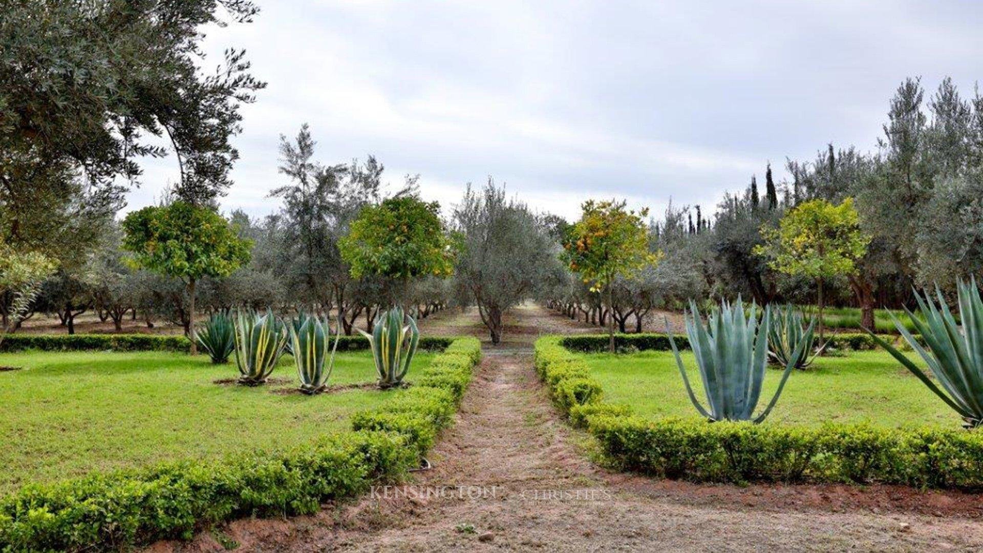 Villa Marrakech in Marrakech, Morocco