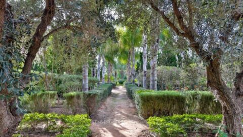 Villa Marrakech in Marrakech, Morocco