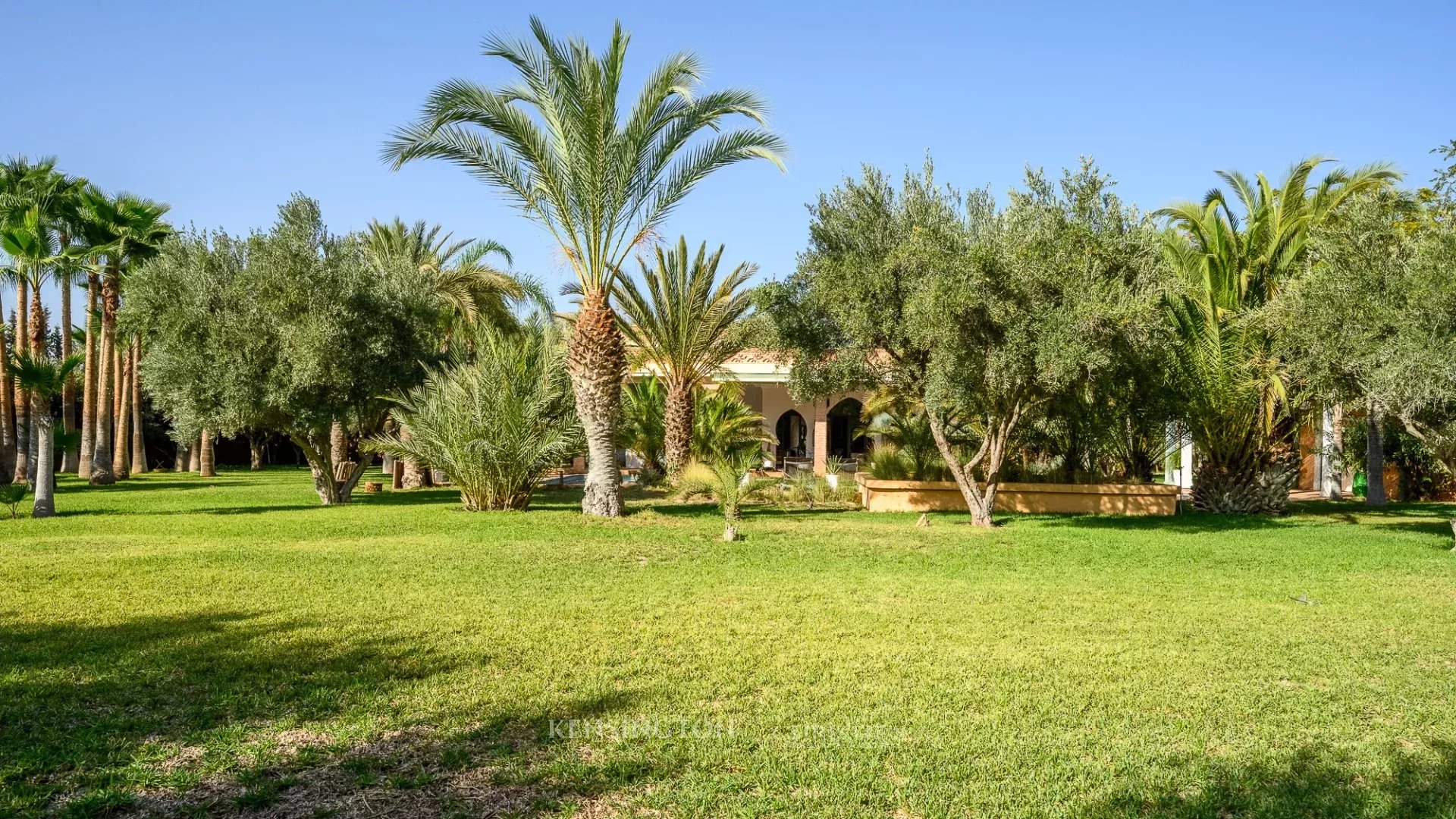 Villa Olivea in Marrakech, Morocco