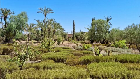 Villa Olympe in Marrakech, Morocco