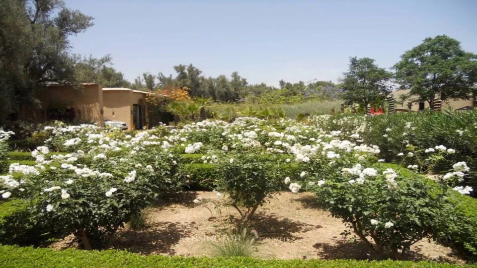 La Villa Rastaban - Taroudant en Taroudant